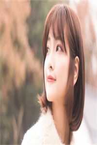 梧桐巷里阅读全集