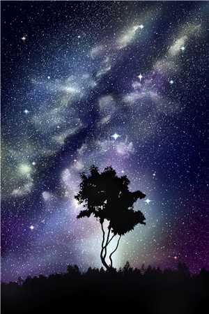 全文阅读魔化手机