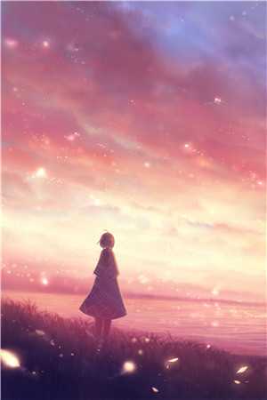 予我星河入梦全集