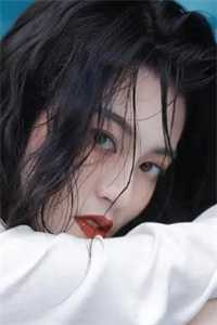 盗笔：我是终极