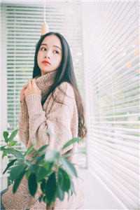 首辅大人的宠妾阅读全集