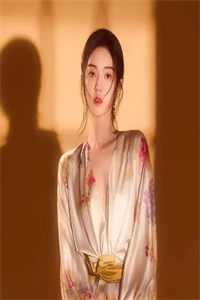 晋王殿下王妃殿下