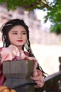 平昭王爷丰神高澈天人之姿