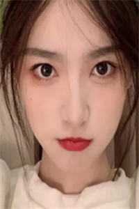 乌鸦比鸽子好