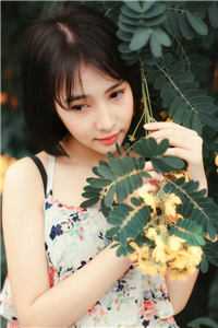 小帝君去南海找什么灵器