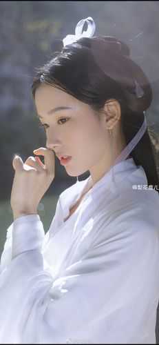 爸爸的摊位