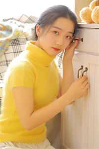 公主的侍女
