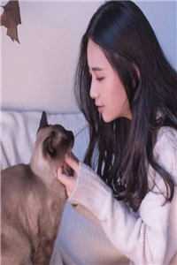 沐子青萧南瑜佚名