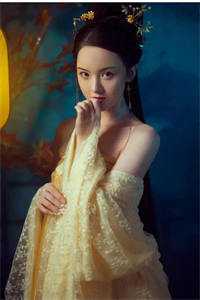 几句而已皇上