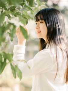 全集小说阅读女儿非要嫁无精症男网友后