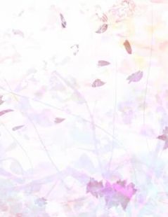 当男宝穿成了世情文的女主角完整文集阅读